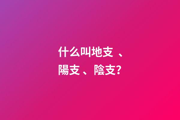 什么叫地支、陽支、陰支？